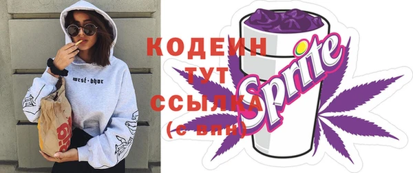 apvp Гусев