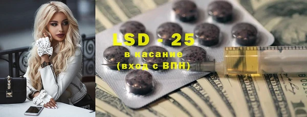 ECSTASY Гусь-Хрустальный