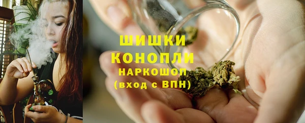 ECSTASY Гусь-Хрустальный