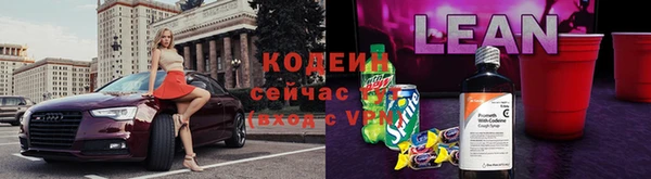 ECSTASY Гусь-Хрустальный