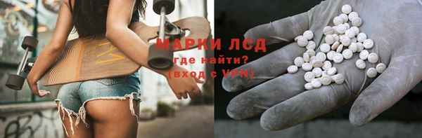 ECSTASY Гусь-Хрустальный