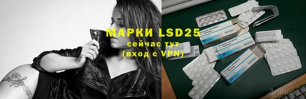 ГАЛЛЮЦИНОГЕННЫЕ ГРИБЫ Горнозаводск