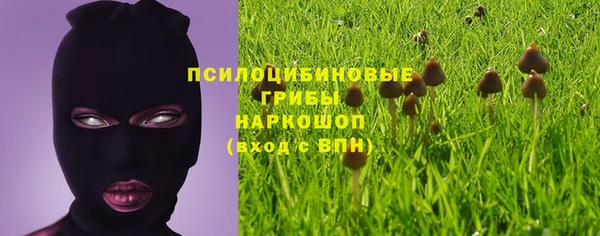 apvp Гусев