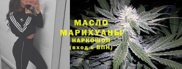 ECSTASY Гусь-Хрустальный
