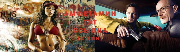 ECSTASY Гусь-Хрустальный